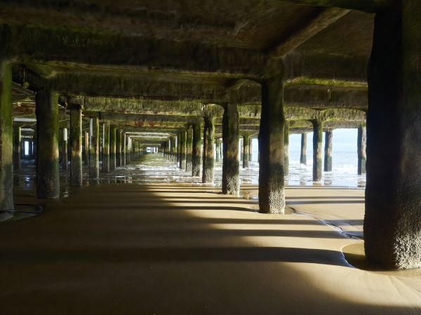 Concrete Pier Repair in Columbia